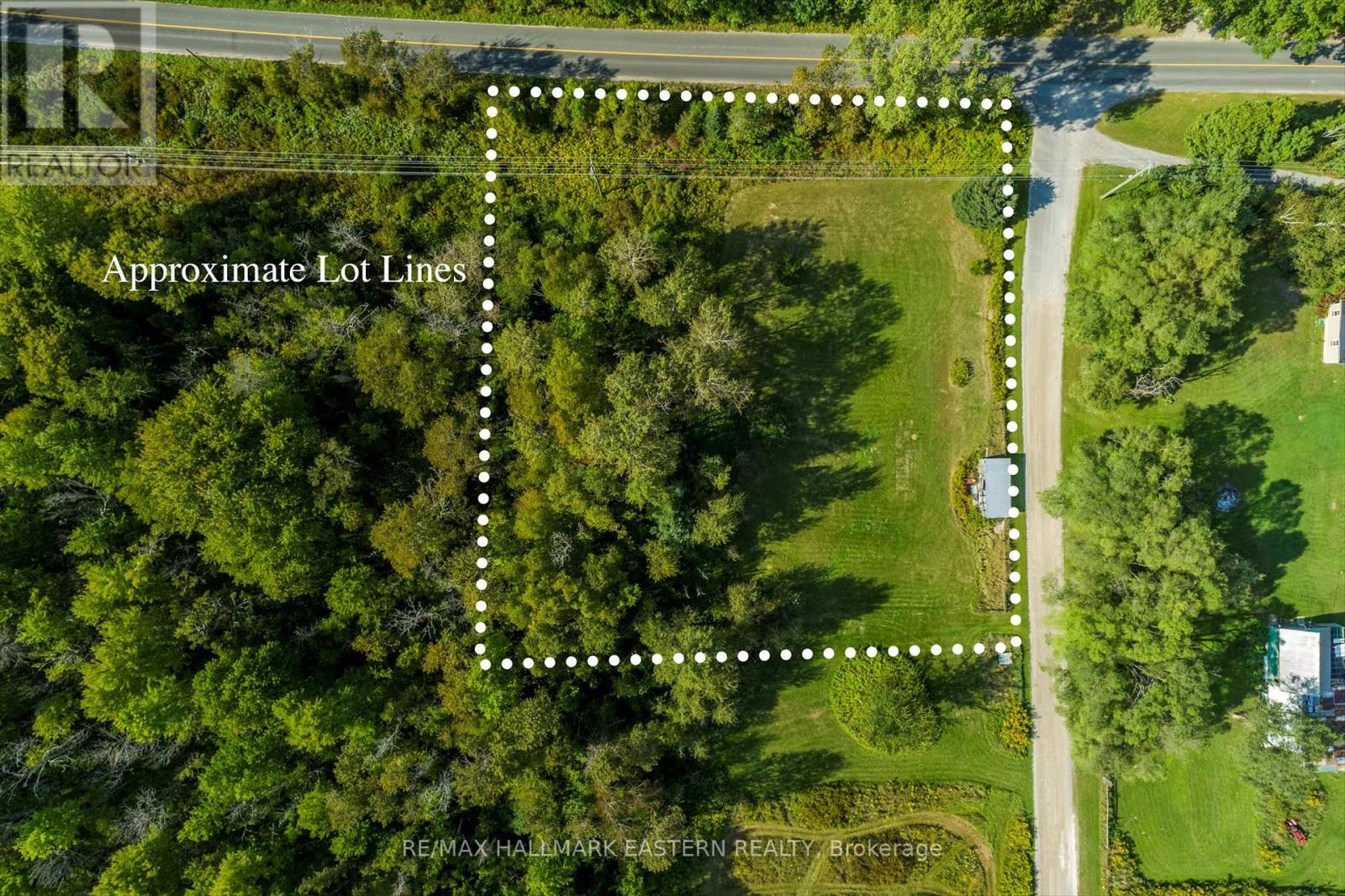 Lot 13 Trent River Road, Trent Hills, Ontario  K0L 1Z0 - Photo 4 - X12234986