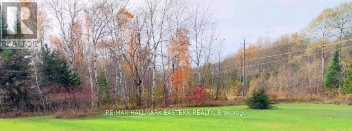 Lot 13 Trent River Road, Trent Hills, Ontario  K0L 1Z0 - Photo 3 - X12234986