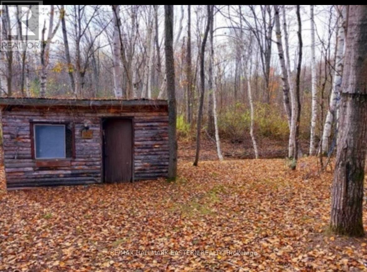 Lot 13 Trent River Road, Trent Hills, Ontario  K0L 1Z0 - Photo 2 - X12234986