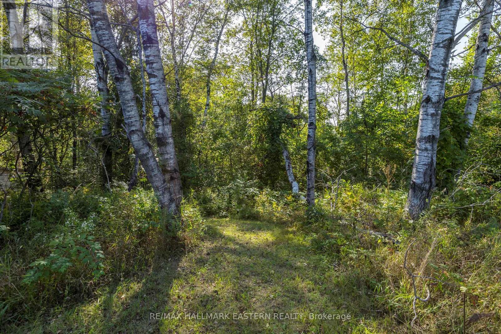 Lot 13 Trent River Road, Trent Hills, Ontario  K0L 1Z0 - Photo 8 - X12234986