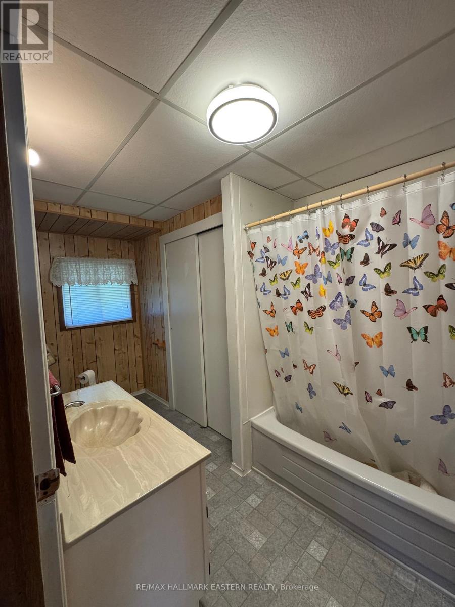 46 Lakeview Cottage Road Se, Kawartha Lakes, Ontario  K0M 2B0 - Photo 13 - X12420024