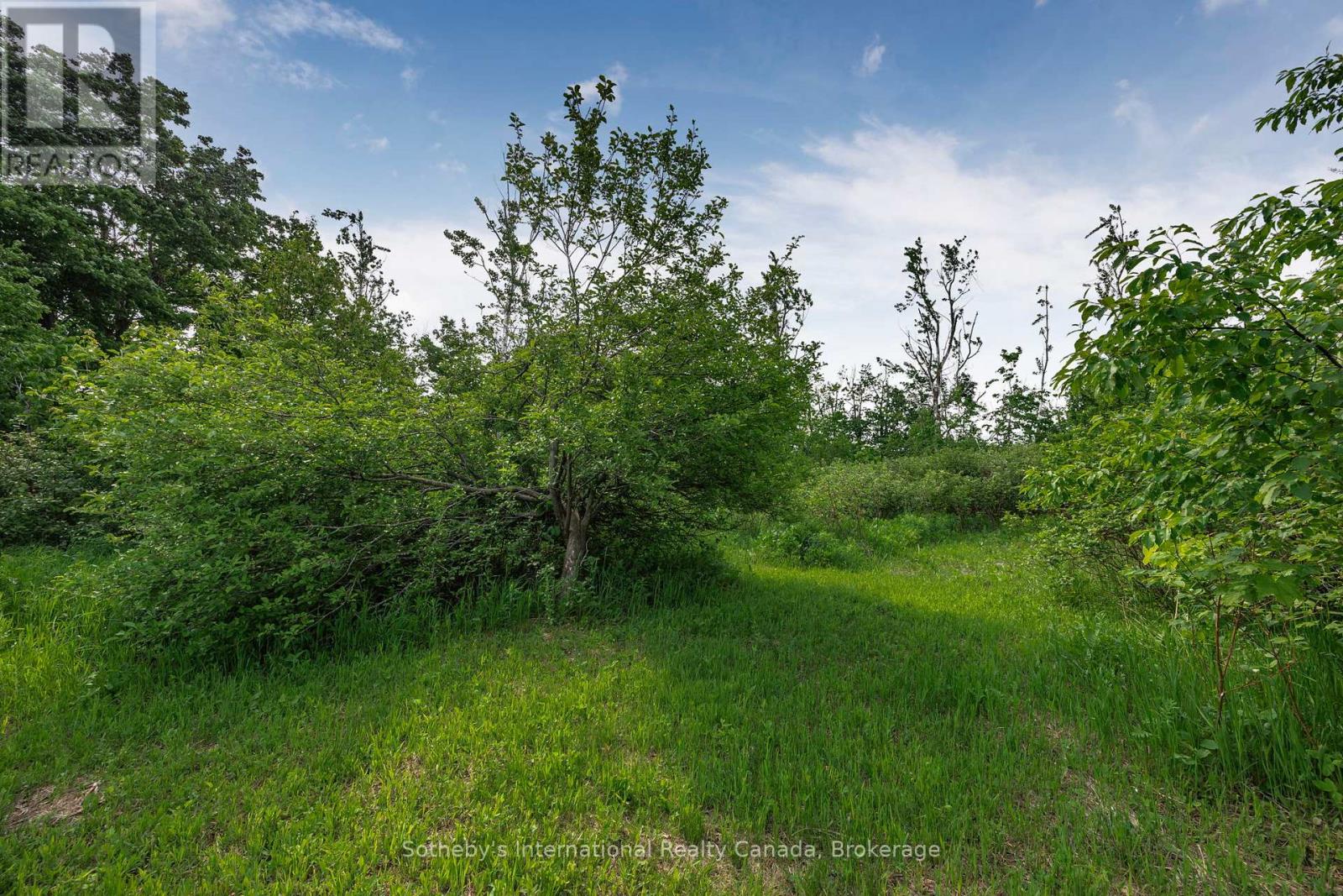 758693 2nd Line E, Mulmur, Ontario  L9V 0H1 - Photo 40 - X12420061