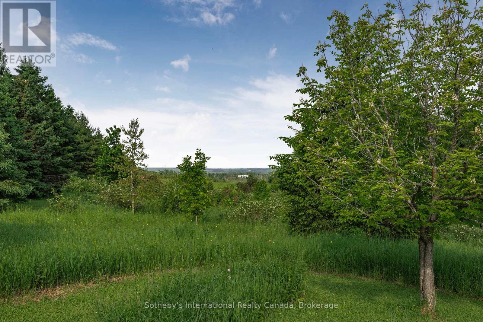 758693 2nd Line E, Mulmur, Ontario  L9V 0H1 - Photo 42 - X12420061