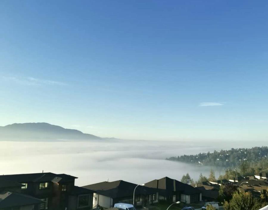 36473 Estevan Court, Abbotsford, British Columbia  V3G 0B6 - Photo 4 - R3040710