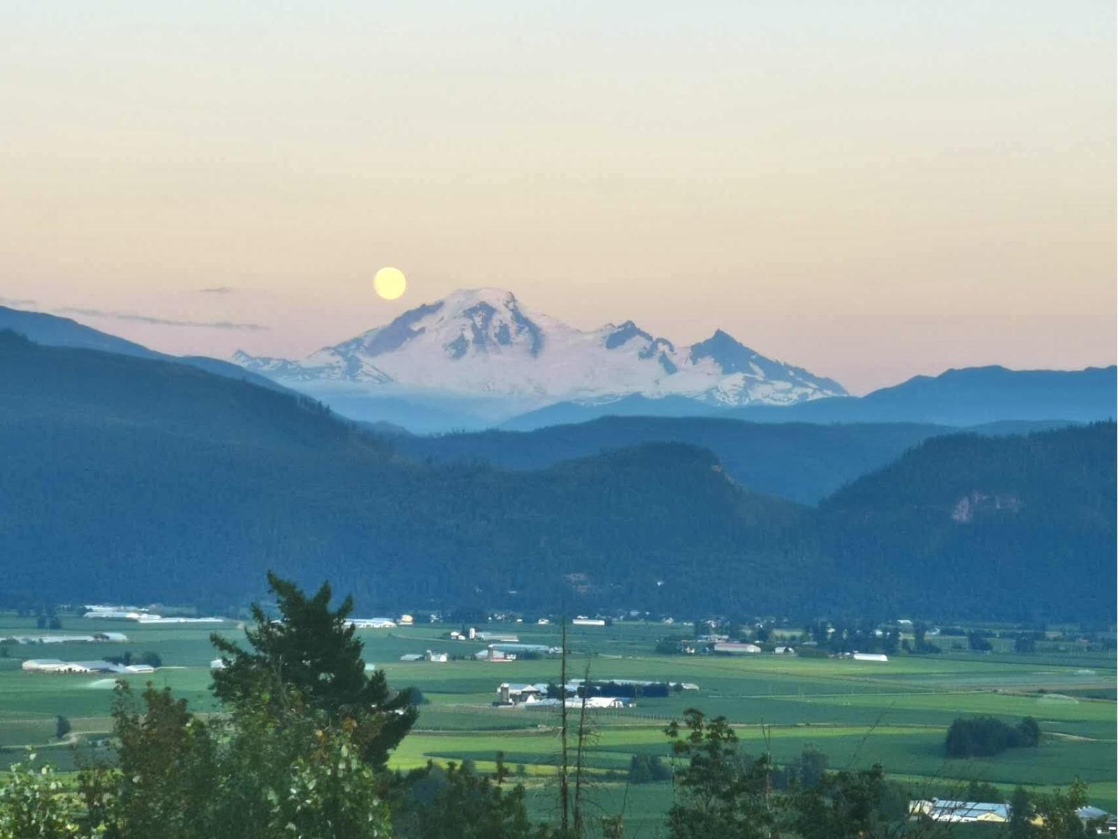 36473 Estevan Court, Abbotsford, British Columbia  V3G 0B6 - Photo 8 - R3040710