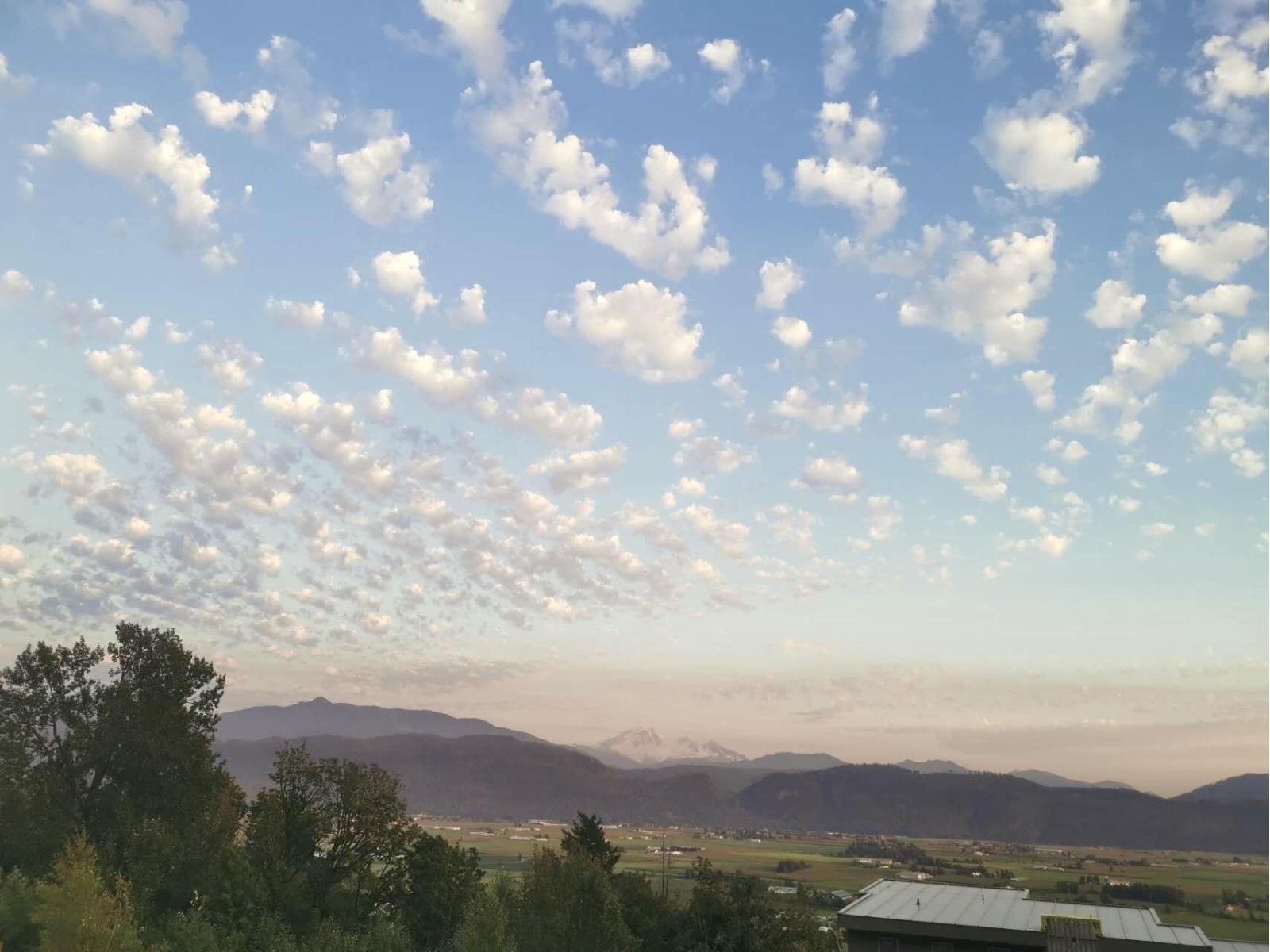 36473 Estevan Court, Abbotsford, British Columbia  V3G 0B6 - Photo 5 - R3040710