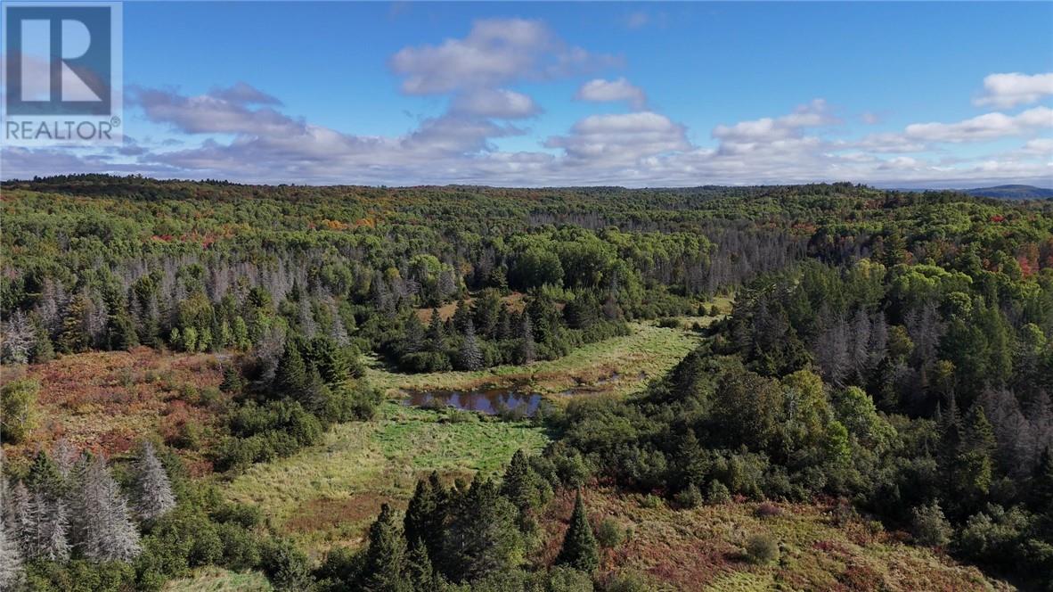 Part Lot 3 & Lot 4, Con 6 Birch Lake Road, Massey, Ontario  P0P 1P0 - Photo 10 - 2124859