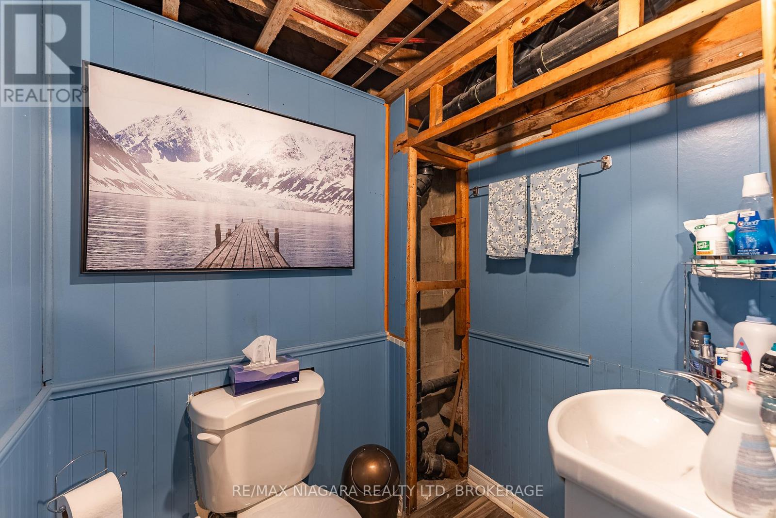 113 Lyons Avenue, Welland, Ontario  L3B 1L9 - Photo 20 - X12420219