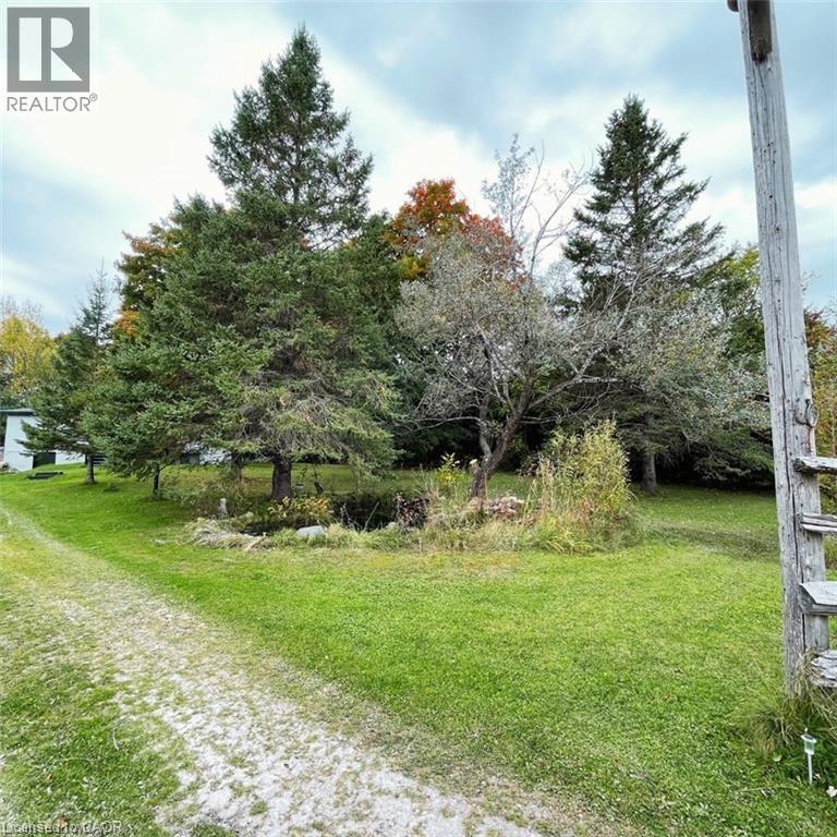 813016 East Back Line, Grey Highlands, Ontario  N0C 1L0 - Photo 2 - 40769179