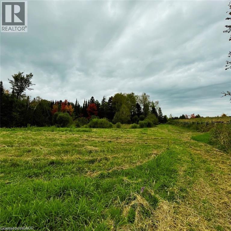 813016 East Back Line, Grey Highlands, Ontario  N0C 1L0 - Photo 19 - 40769179