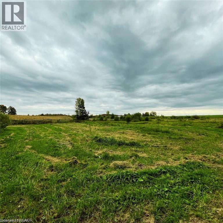 813016 East Back Line, Grey Highlands, Ontario  N0C 1L0 - Photo 18 - 40769179