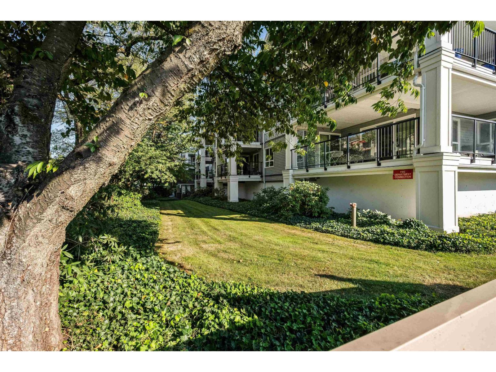 210 20976 56 Avenue, Langley, British Columbia  V3A 7Z2 - Photo 4 - R3049889