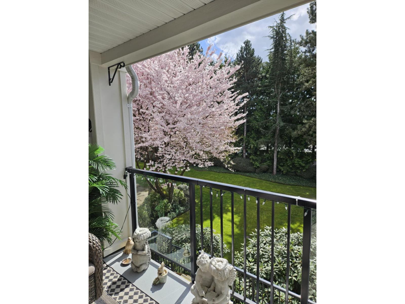 210 20976 56 Avenue, Langley, British Columbia  V3A 7Z2 - Photo 32 - R3049889