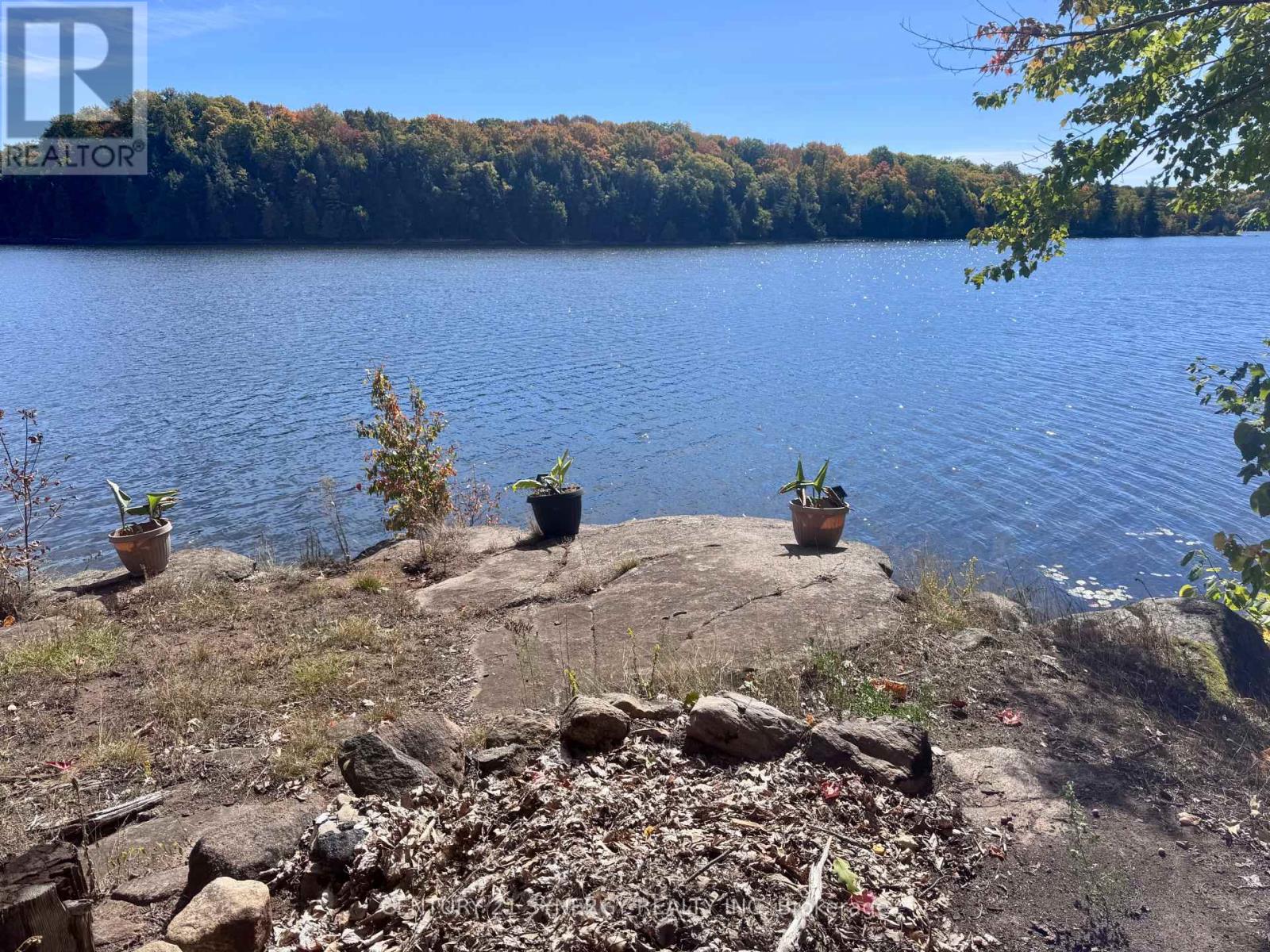 241 Brash Lane, Frontenac (Frontenac South), Ontario  K0H 1R0 - Photo 12 - X12420312