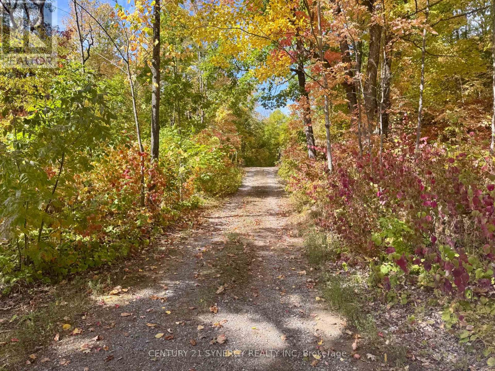 241 Brash Lane, Frontenac (Frontenac South), Ontario  K0H 1R0 - Photo 23 - X12420312
