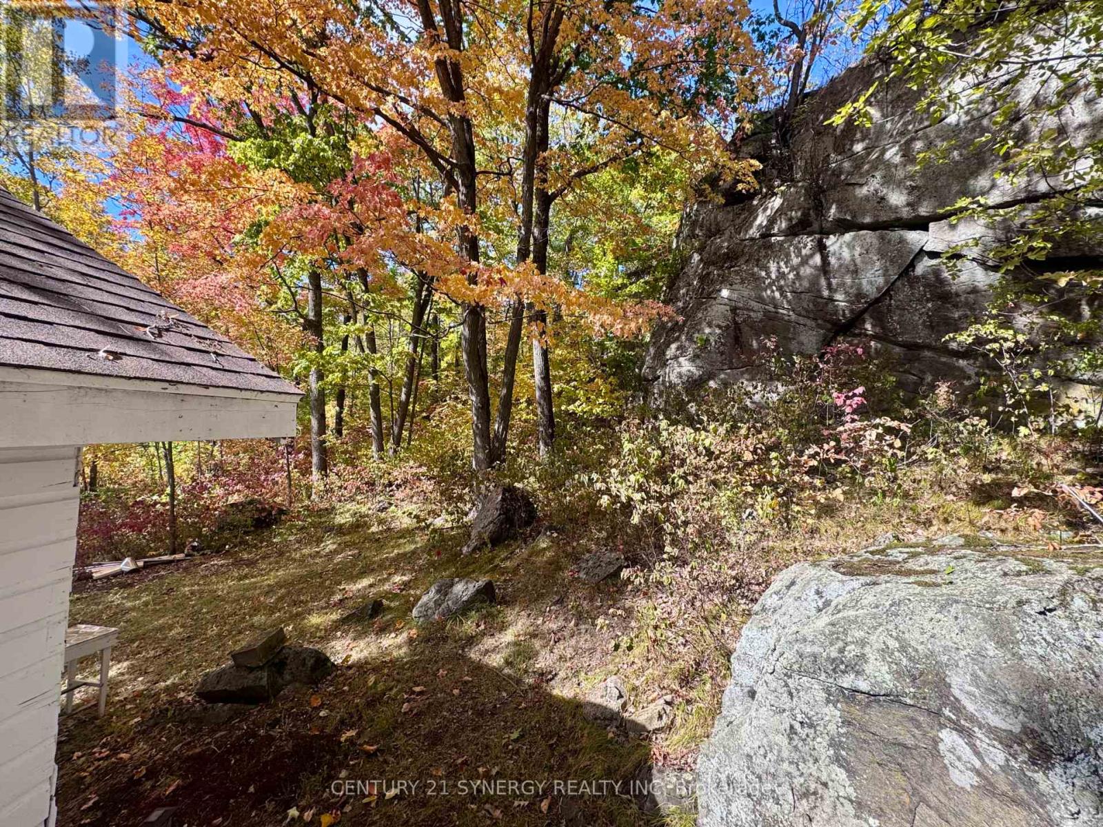 241 Brash Lane, Frontenac (Frontenac South), Ontario  K0H 1R0 - Photo 7 - X12420312