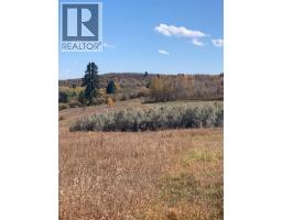 16 Red Willow Court W