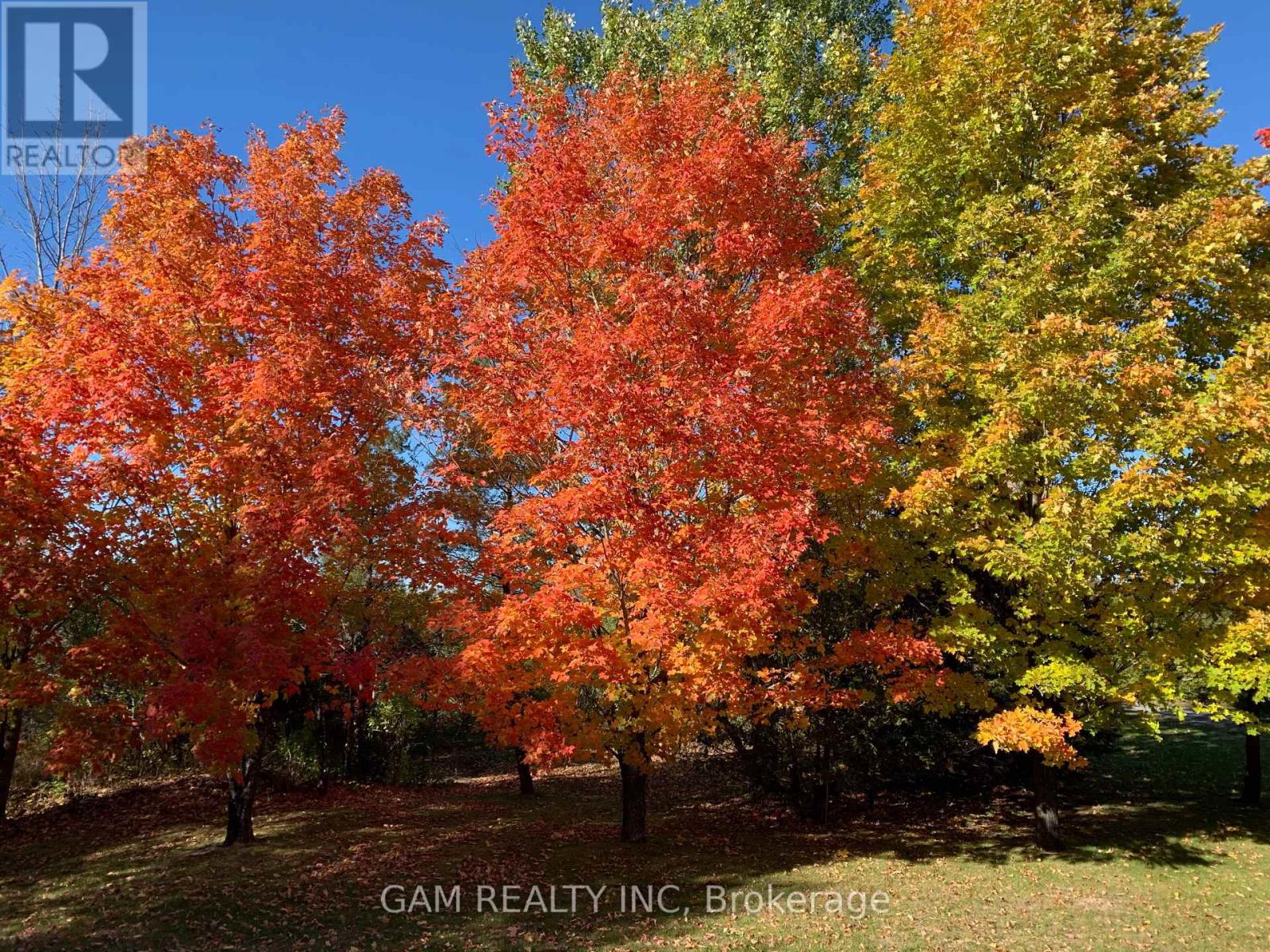 5355 HINCHINBROOKE ROAD, Frontenac, Ontario