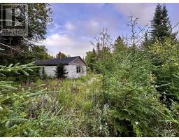 398 Veterans Drive, Cormack, Newfoundland & Labrador