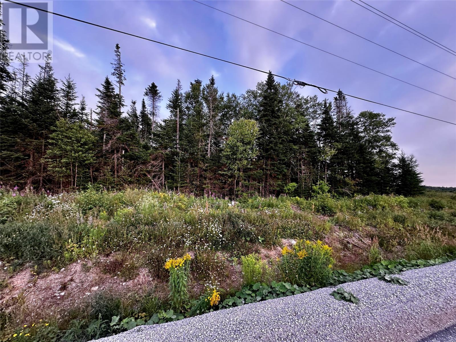 398 Veterans Drive, Cormack, Newfoundland & Labrador  A8A 2R4 - Photo 3 - 1288371