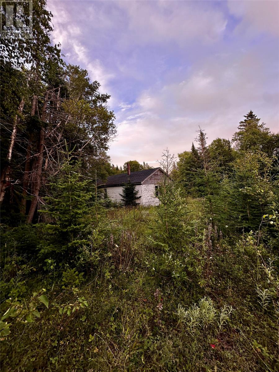398 Veterans Drive, Cormack, Newfoundland & Labrador  A8A 2R4 - Photo 2 - 1288371