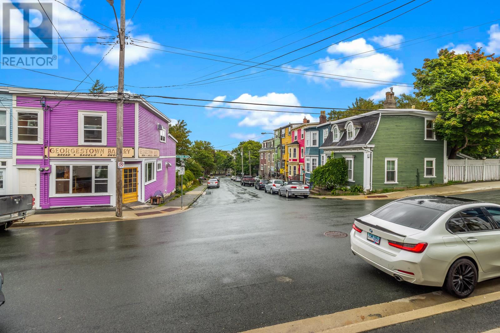 79 Hayward Avenue, St. John’s, Newfoundland & Labrador  A1C 3W8 - Photo 29 - 1290717