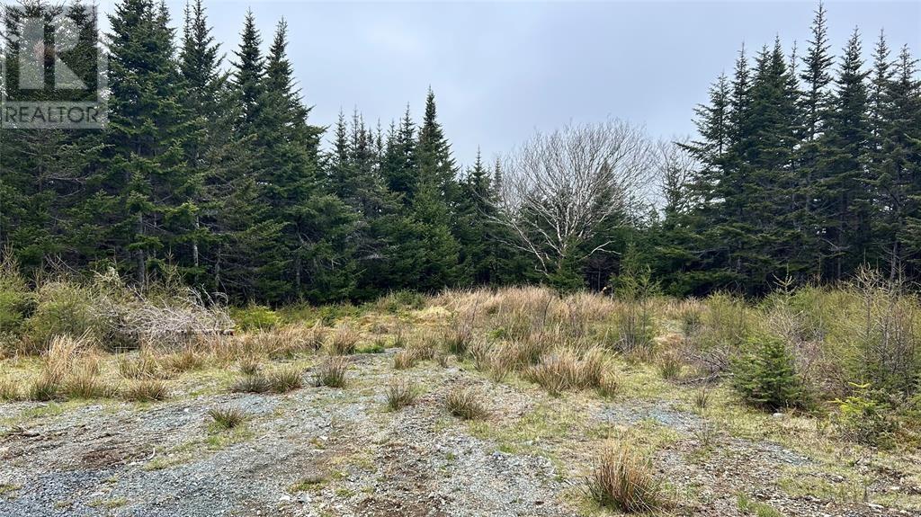 00 Strayaway Road, Blaketown, Newfoundland & Labrador  A0B 1C0 - Photo 2 - 1288814
