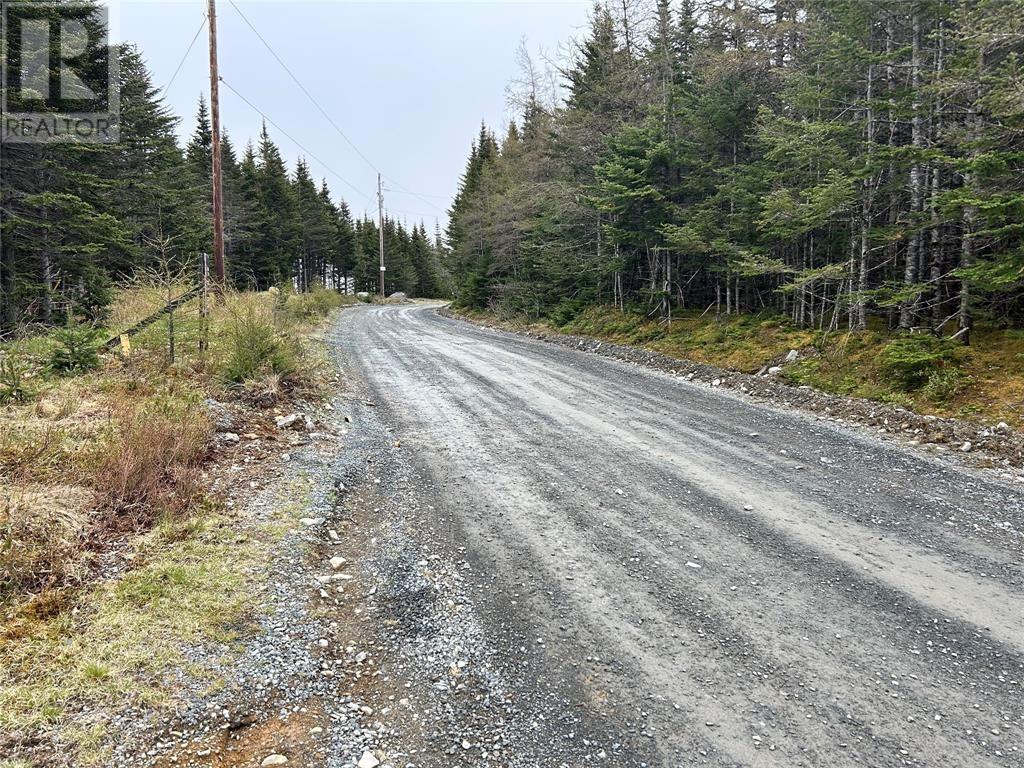 00 Strayaway Road, Blaketown, Newfoundland & Labrador  A0B 1C0 - Photo 4 - 1288814