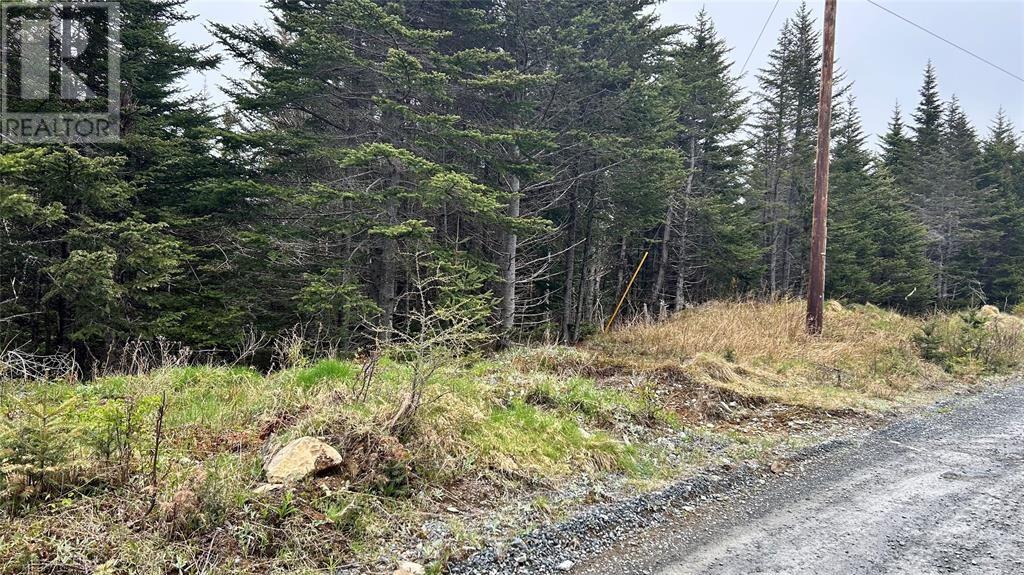 00 Strayaway Road, Blaketown, Newfoundland & Labrador  A0B 1C0 - Photo 3 - 1288814