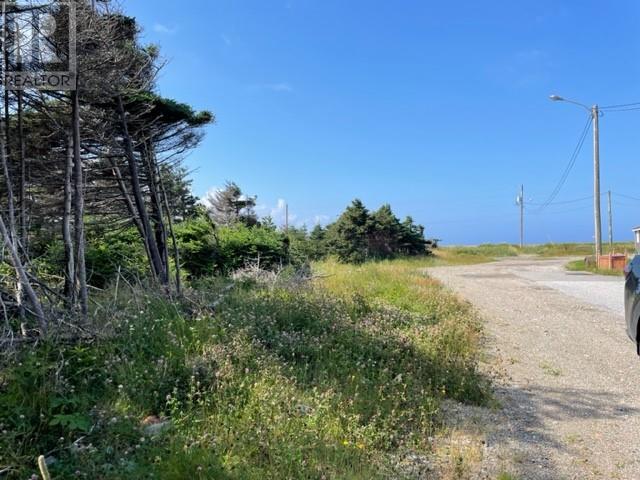 13 Queen Street, Stephenville Crossing, Newfoundland & Labrador  A0N 2C0 - Photo 2 - 1290777
