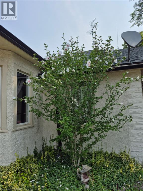 30 Dumfries Street, Cambridge, Ontario  N1S 1Y7 - Photo 37 - 40772249
