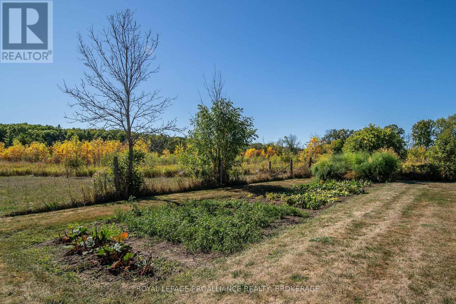 2292 Mcintyre Road, Loyalist, Ontario  K0H 1G0 - Photo 30 - X12420599