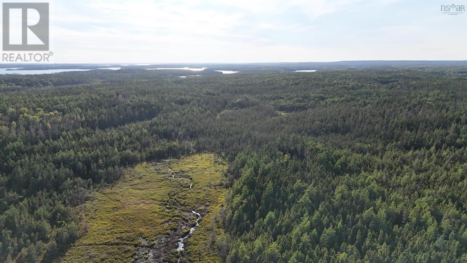 Richards Pond Road, River Bourgeois, Nova Scotia  B0E 2X0 - Photo 11 - 202521173
