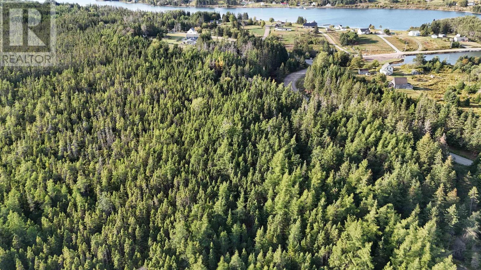 Richards Pond Road, River Bourgeois, Nova Scotia  B0E 2X0 - Photo 7 - 202521173