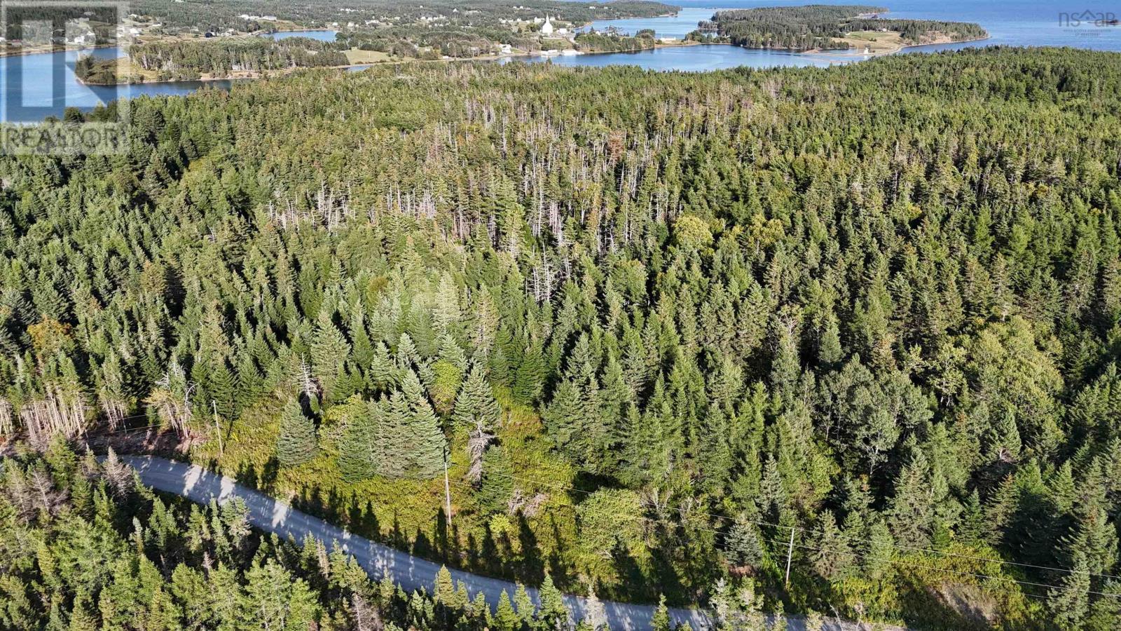 Richards Pond Road, River Bourgeois, Nova Scotia  B0E 2X0 - Photo 10 - 202521173