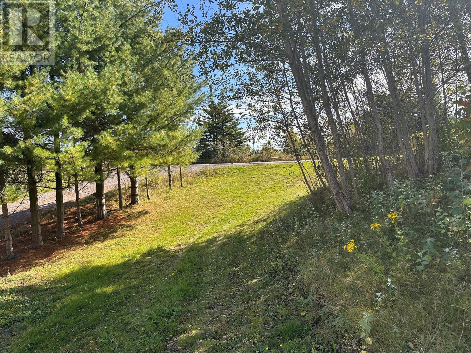 450 Main Road, Big Salmonier, Newfoundland & Labrador  A0E 2G0 - Photo 6 - 1290797