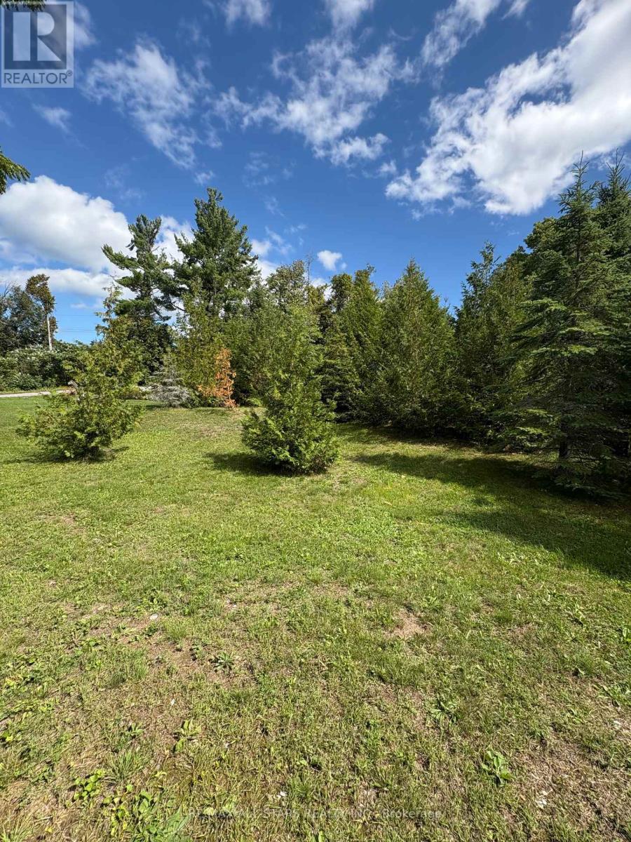 36 Cove Road, Kawartha Lakes, Ontario  K0M 1N0 - Photo 6 - X12420709