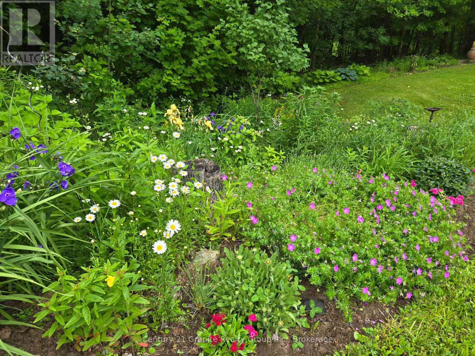 1263 Burkes Road, Dysart Et Al (Dysart), Ontario  K0M 1S0 - Photo 41 - X12420717
