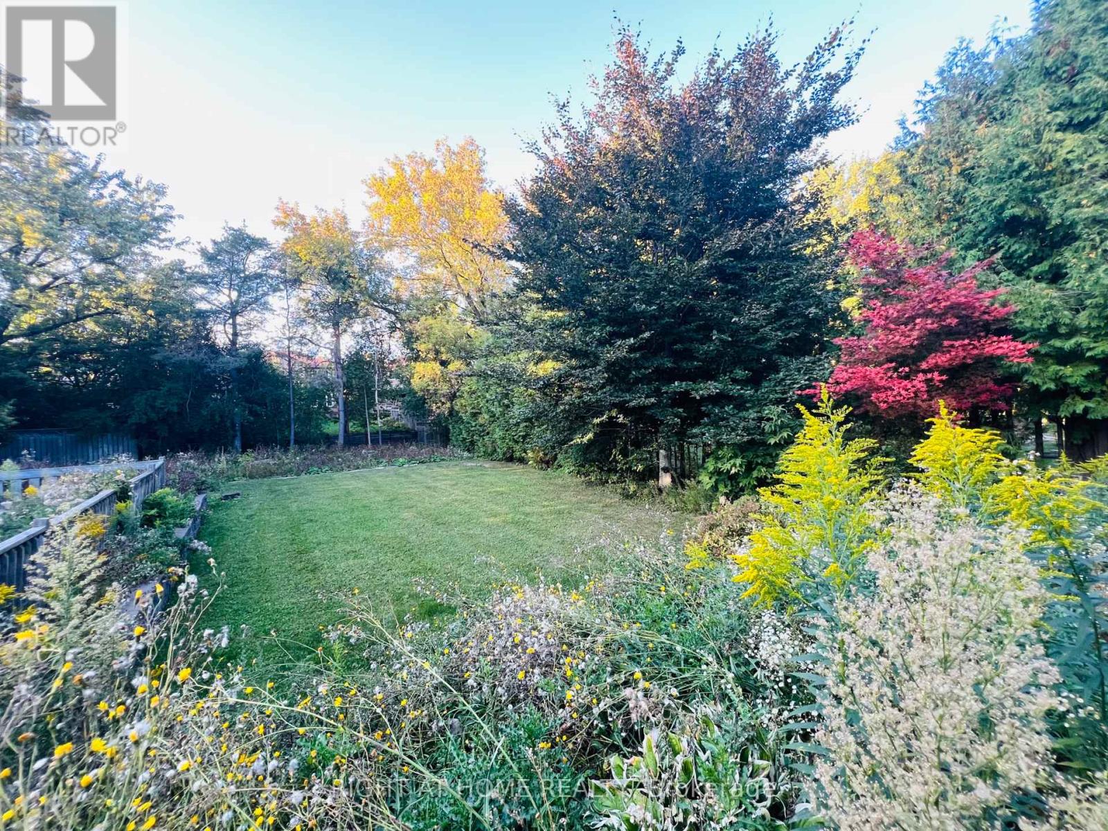 8 Gallacher Avenue, Richmond Hill, Ontario  L4E 2W9 - Photo 8 - N12420704