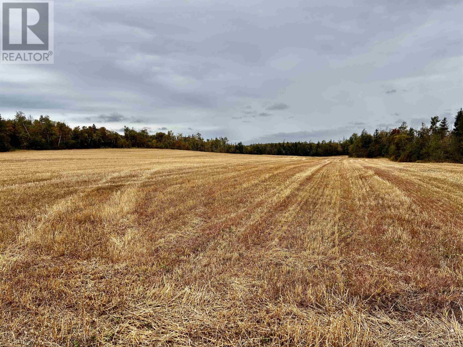 Acreage Brackley Point Road - 49 Acres, Brackley Beach, Prince Edward Island  C1E 2N9 - Photo 3 - 202524051