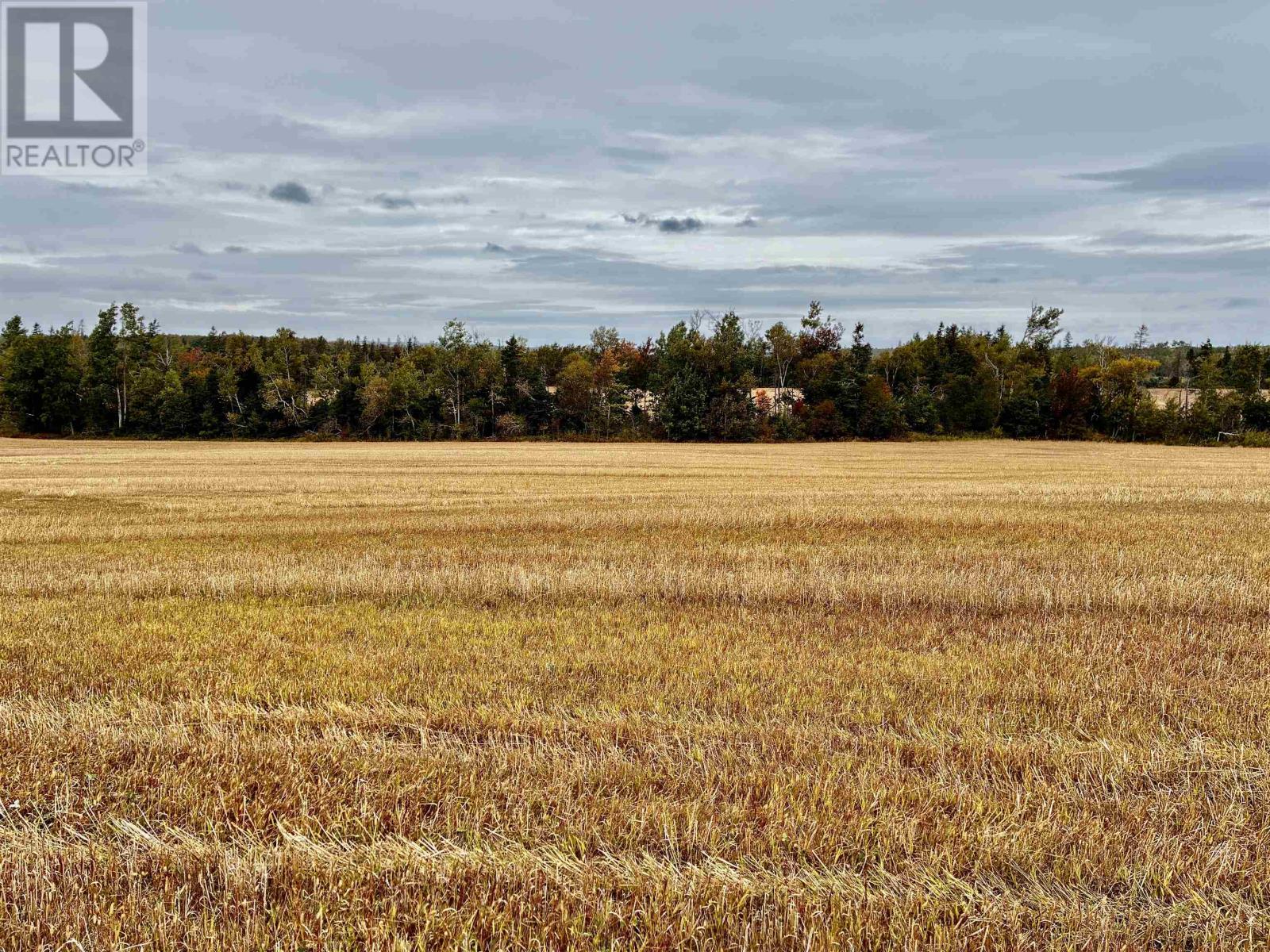 Acreage Brackley Point Road - 49 Acres, Brackley Beach, Prince Edward Island  C1E 2N9 - Photo 2 - 202524051