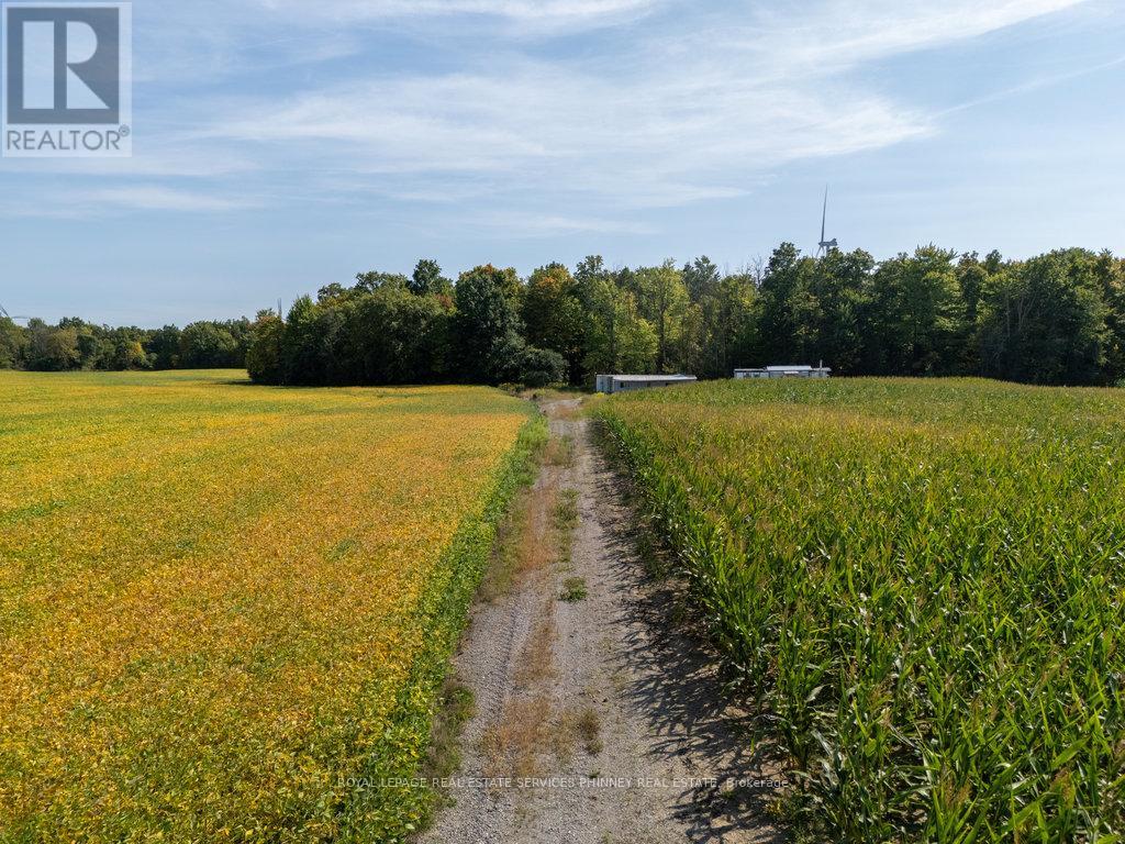 138 Concession 5 Walpole Acres, Haldimand, Ontario  N0A 1J0 - Photo 14 - X12400834