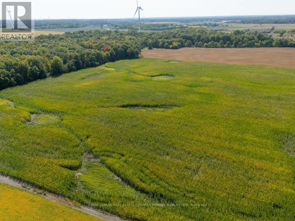 138 Concession 5 Walpole Acres, Haldimand, Ontario  N0A 1J0 - Photo 19 - X12400834