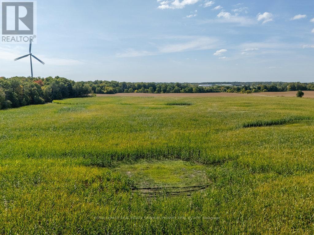 138 Concession 5 Walpole Acres, Haldimand, Ontario  N0A 1J0 - Photo 16 - X12400834