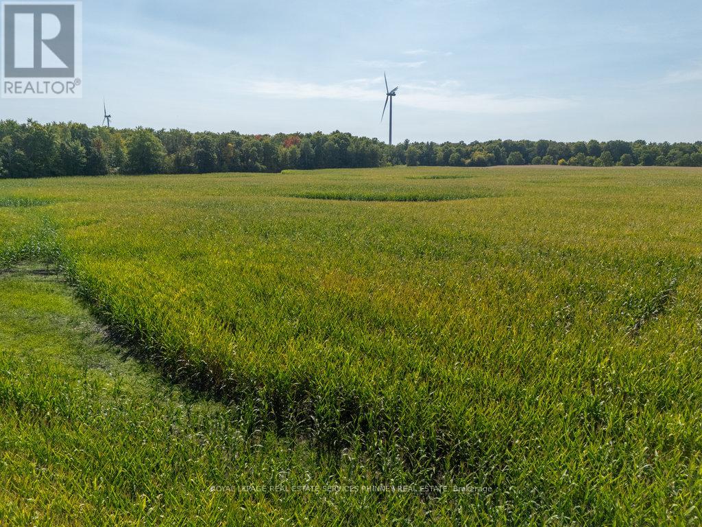 138 Concession 5 Walpole Acres, Haldimand, Ontario  N0A 1J0 - Photo 20 - X12400834