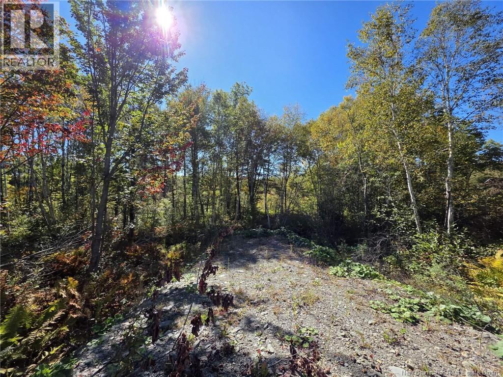 1327 205 Route, Clair, New Brunswick  E7A 1Y2 - Photo 16 - NB127101