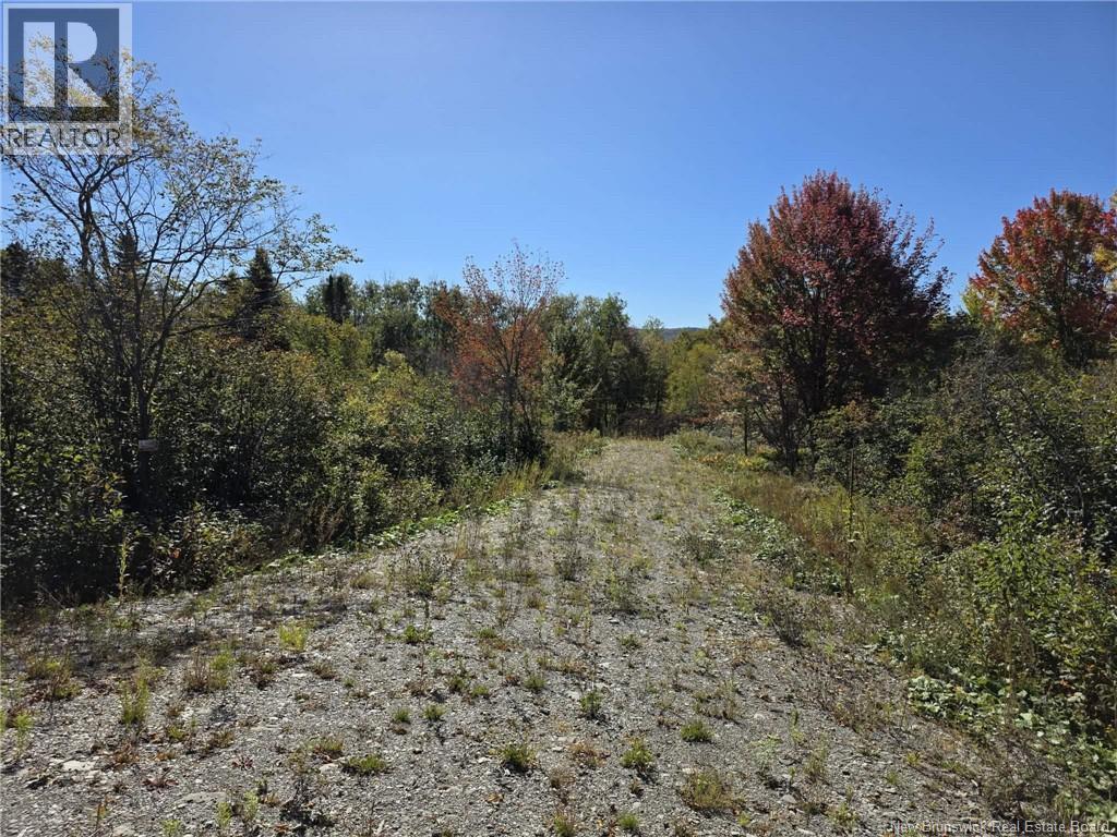 1327 205 Route, Clair, New Brunswick  E7A 1Y2 - Photo 17 - NB127101