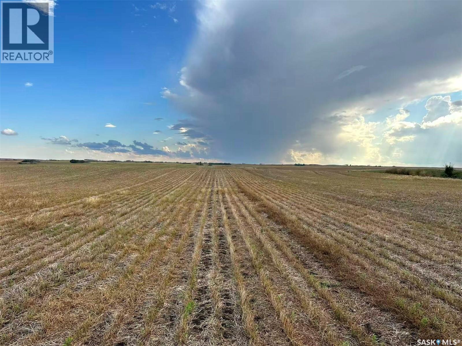 961 Acres Farmland In Rm Morris, Morris Rm No. 312, Saskatchewan  S0K 4Y0 - Photo 5 - SK019025