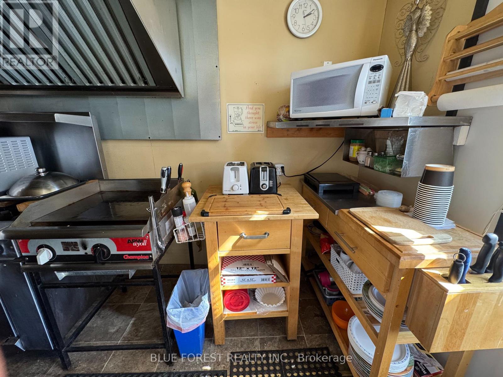 23 Wellington Street, Bayham, Ontario  N0J 1T0 - Photo 7 - X12421000