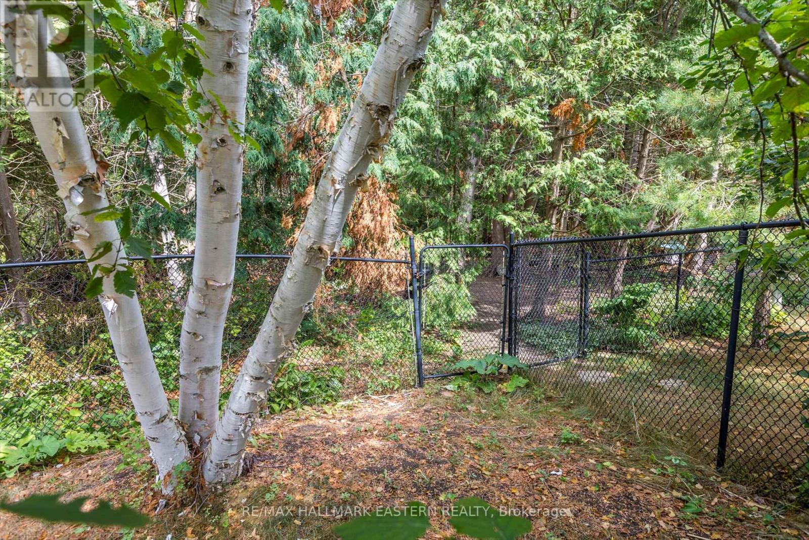 20 Eldon Court, Peterborough, Ontario  K9H 7S1 - Photo 31 - X12345320